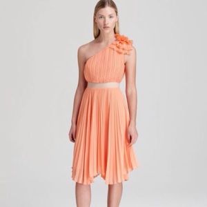 BCBG Dress Size 0. Brand new with tags.